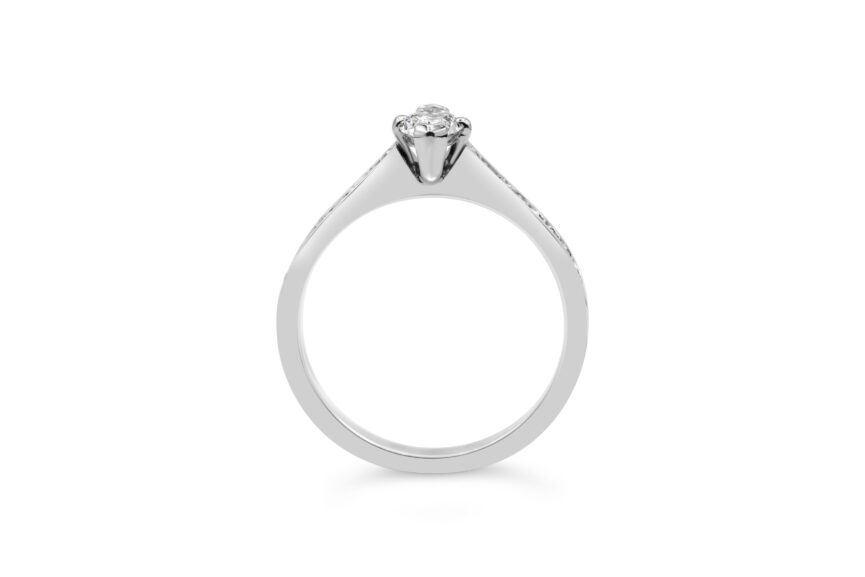 SINGLE STONE CHANNEL SET SHANK RING - Image 2