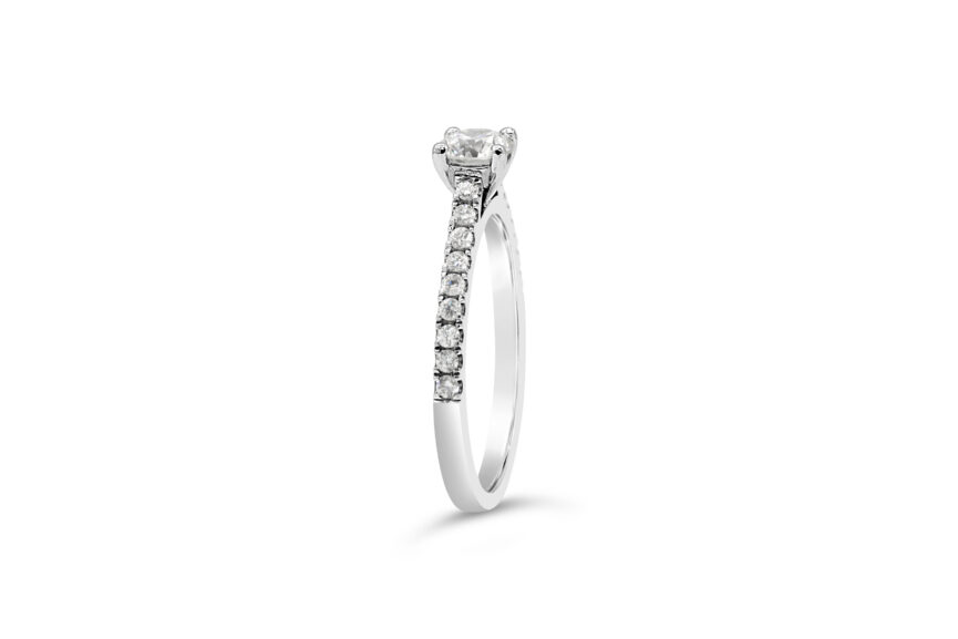Round Single Stone Tulip Tappered Micro - Image 3